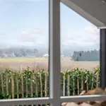 Cozy In With Kitchen